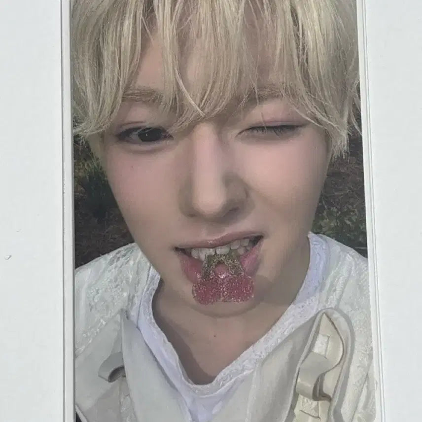 [BUNJANG] NCT Wish Sakuraya Bix Mini Photocard / 사쿠야 빅스미니 포카 엔시티위시 포토카드 오드투러브 오투럽
