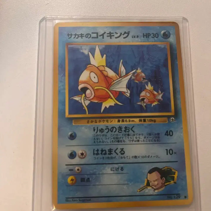 [BUNJANG] Bijugi Magikarp First Edition Japanese Card / 비주기 잉어킹 초판(일판)