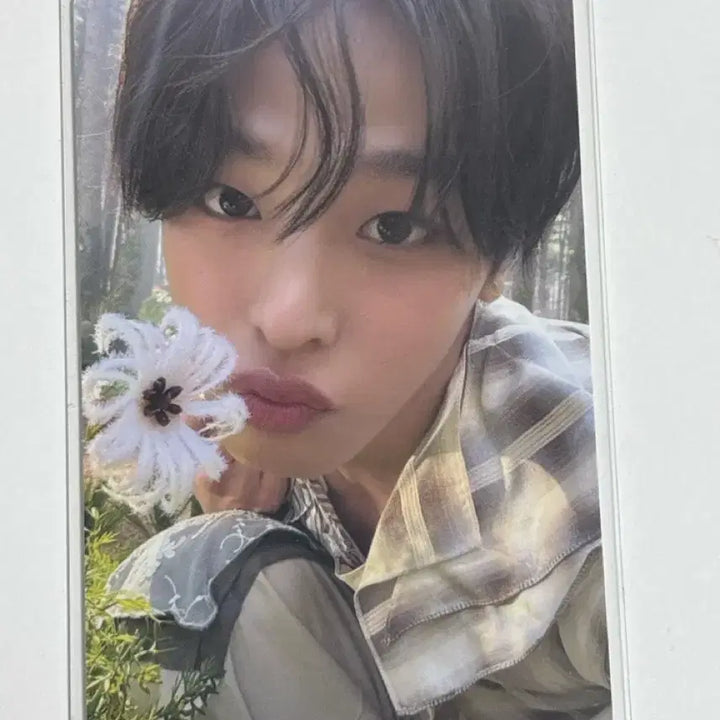 [BUNJANG] NCT WISH Osaki Riku Lonsdale Photocard / 엔시티위시 오드투러브 빅스미니 리쿠 앨포 양도