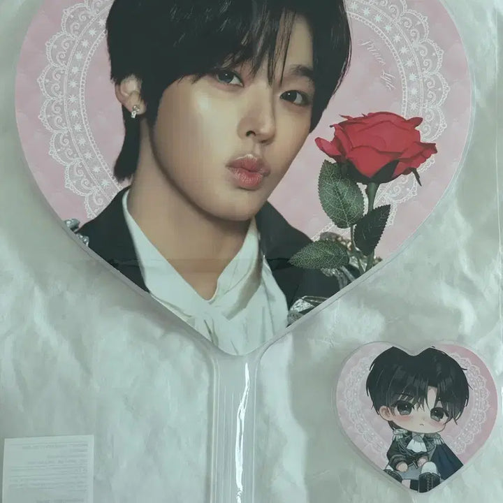 [BUNJANG] NCT WISH Riku Fan Meeting Uchiwa Set / 원가이하 엔시티 위시 리쿠 팬미팅 우치와 왕자