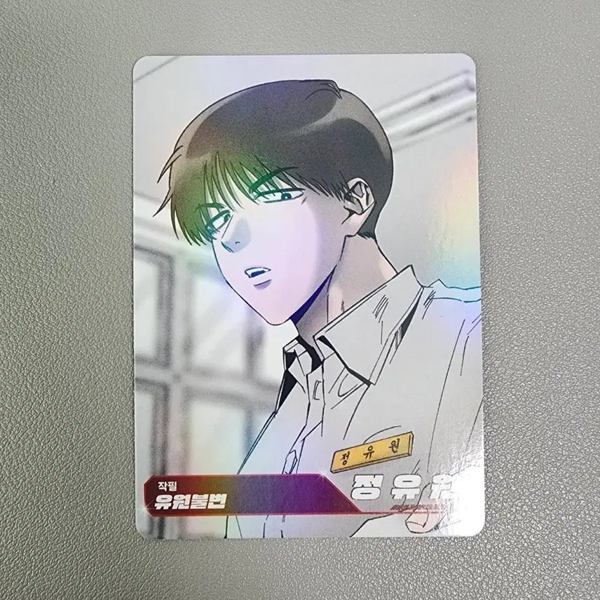 [BUNJANG] Resin Trading Card Yuwon / 레진트레이딩카드 레진수 유원불변 정유원 일반