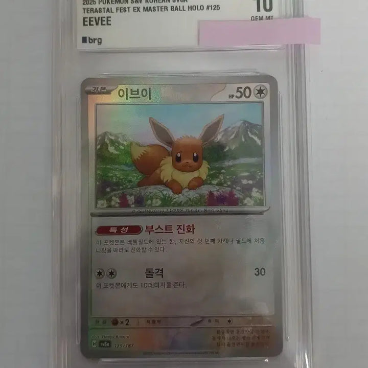 [BUNJANG] Pokemon Eevee Master Ball BRG10 Graded Card / 포켓몬카드 이브이 마볼 brg10 등급카드