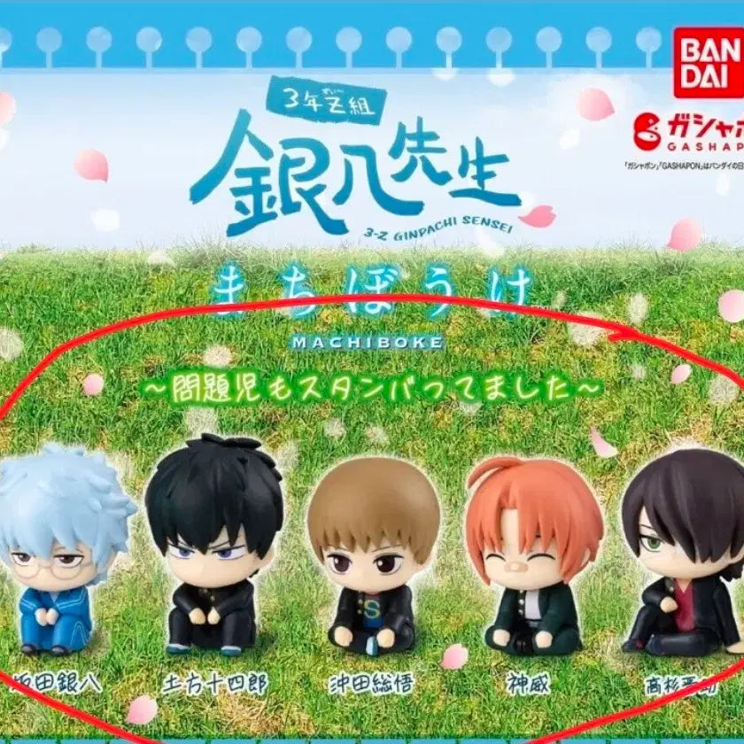 [BUNJANG] Gintama Gashapon Machi Boke Figure Set (5 Types) - Sealed Bundle Set / [미개봉/풀세트]은혼 삼젯 마치보케 문제아 전5종 일괄