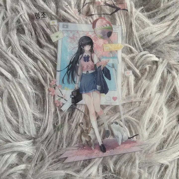 [BUNJANG] Galaxy Limited Edition Transparent Photocard / 명조 치사 홍대 갤럭시 한정 투명 포토카드
