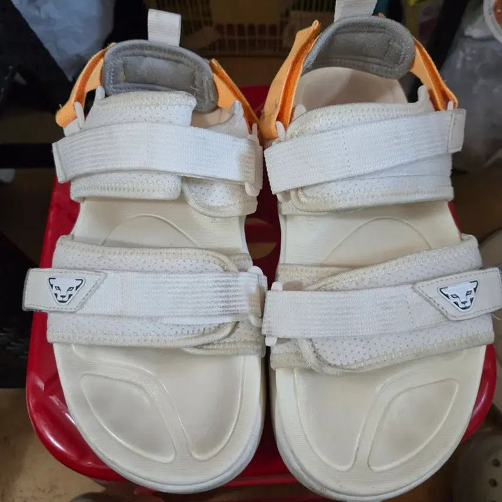 [BUNJANG] Dynafit White Strap Sandals / 다이나핏 흰색 스트랩 샌들