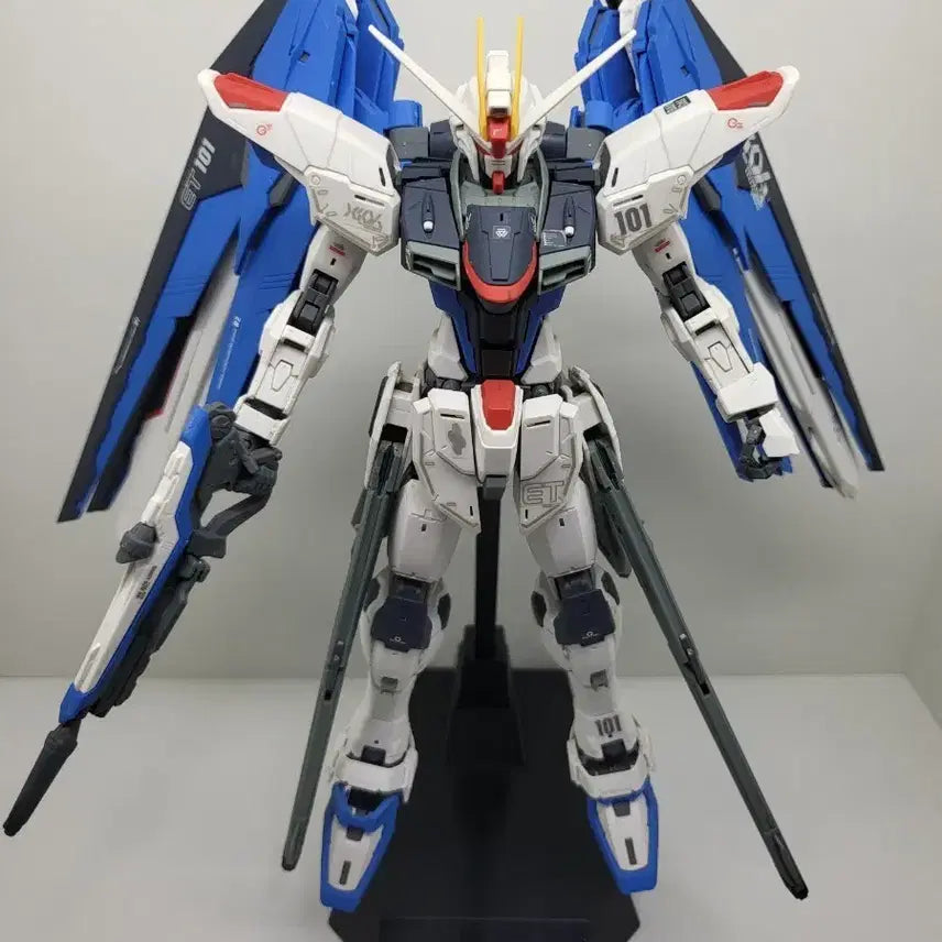 [BUNJANG] Bandai MG 1/100 Freedom Gundam 2.0 Model Kit / 반다이 MG 1 / 100 프리덤 건담 2.0