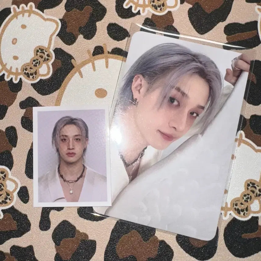[BUNJANG] Stray Kids SKZOO Bang Chan Photocard Bundle Set / 스트레이키즈 스키즈 스테이 키트 방찬 포카 포토카드 증사 일괄