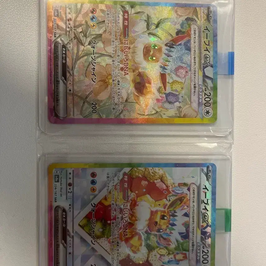 [BUNJANG] Pokemon Card Eevee Terastal SAR Numbered Japanese / 포켓몬카드 이브이 테라스탈 SAR 연번 일판