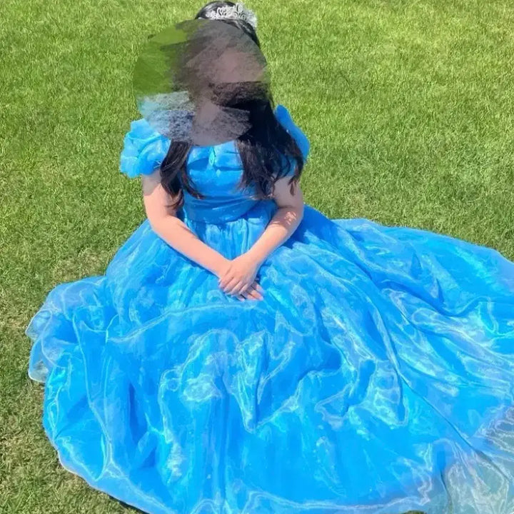 [BUNJANG] Cinderella Princess Dress Rental / 신데렐라 드레스