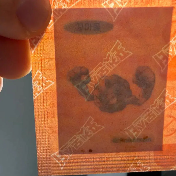 [BUNJANG] Pokemon 30th Anniversary Sticker Collection (Sealed) / 포켓몬 30주년 띠부씰 팔아요! (미개봉)