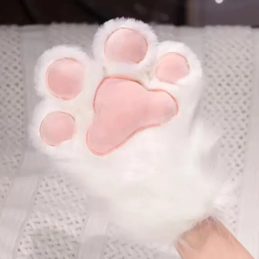 [BUNJANG] Bundle Set Cosplay Cat Fur Gloves / 일괄가격/코스프레 고양이 털 장갑 퍼슈트