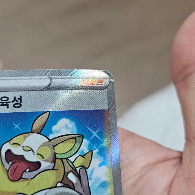 [BUNJANG] Pokemon Card - Pokemon Breeder&
