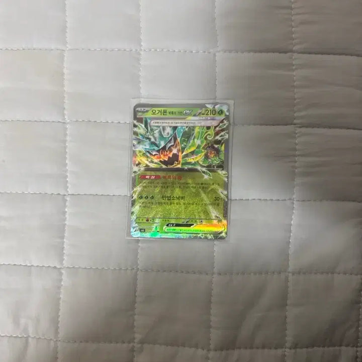 [BUNJANG] Pokemon TCG Ogerpon EX RR Card / 포켓몬카드 오거폰 ex rr