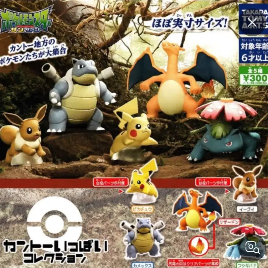 [BUNJANG] Pokemon Kanto Region Complete Gacha Blastoise / 포켓몬스터 관동지방 가득 가챠 거북왕