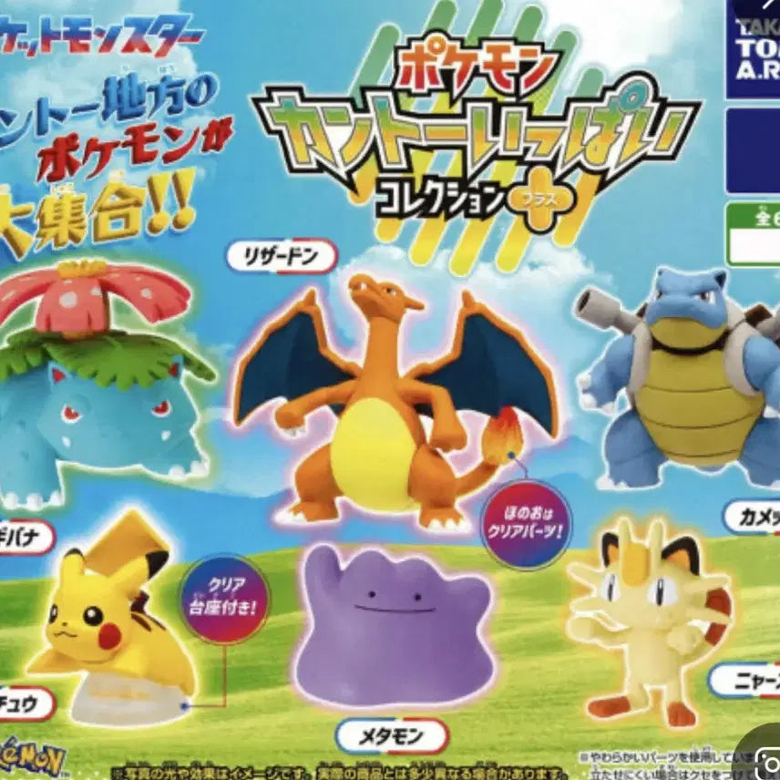 [BUNJANG] Pokemon Kanto Region Complete Gacha Blastoise / 포켓몬스터 관동지방 가득 가챠 거북왕