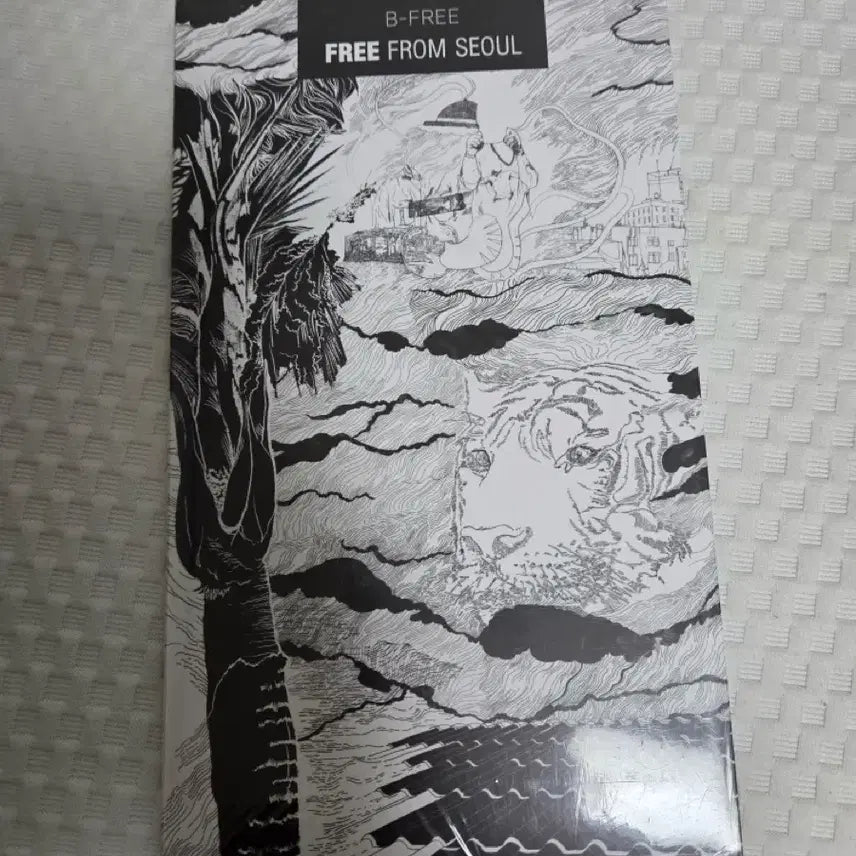 [BUNJANG] B Free Free From Seoul Photocard / 비프리 free from seoul