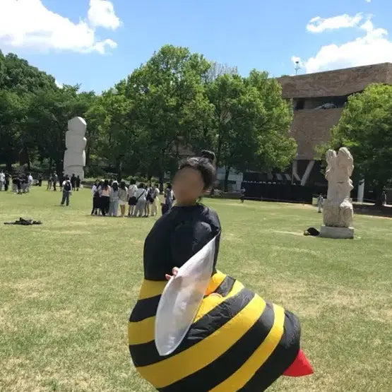[BUNJANG] Unisex Bee Air Suit / (남여공용)꿀벌 에어슈트 인스타 연락 환영