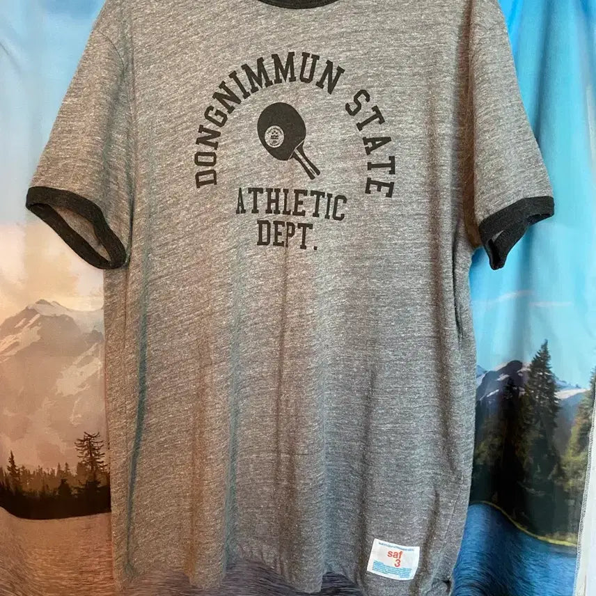 [BUNJANG] Safarispot Ringer T-Shirt Grey / 사파리스팟 링거반팔티 그레이