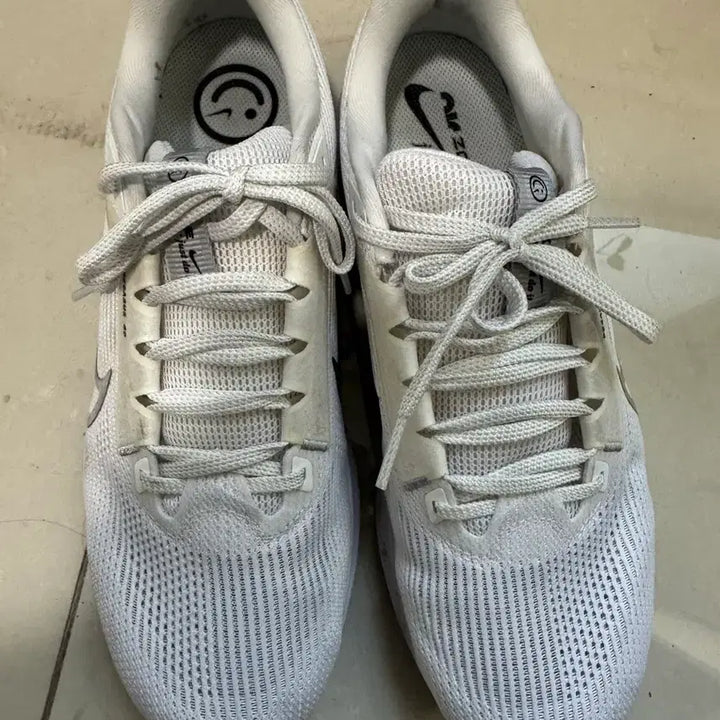 [BUNJANG] Nike Pegasus 40 White 280mm Running Shoes / 나이키 페가수스 40 흰색 280mm