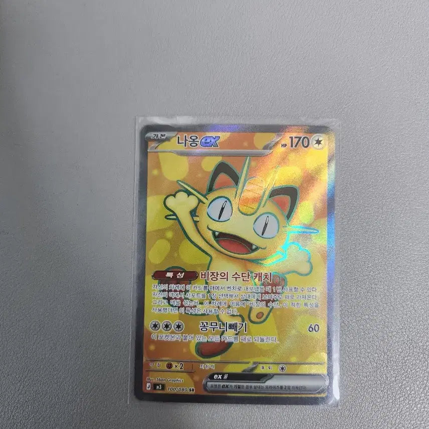 [BUNJANG] Naong SR Card / 나옹 sr