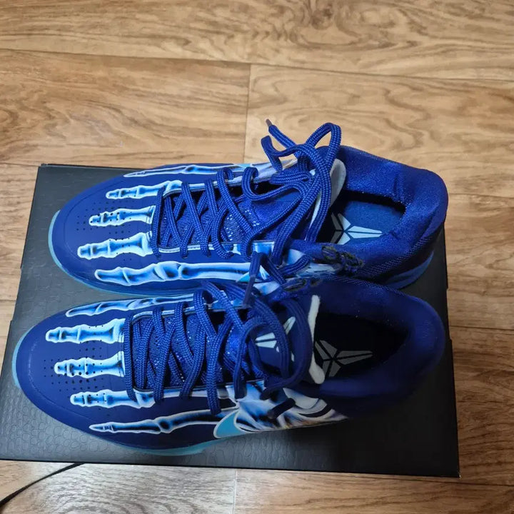 [BUNJANG] Nike Kobe 5 X-Ray Basketball Shoes / 코비5 엑스레이 260 농구화