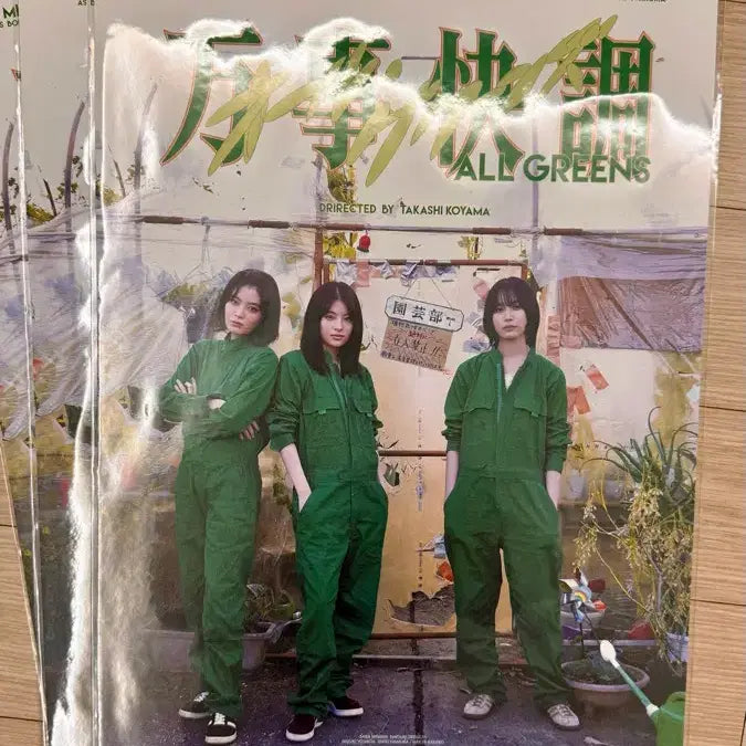 [BUNJANG] All Greens Vinyl House Poster Unsealed / 올 그린스 비닐 하우스 포스터 미개봉