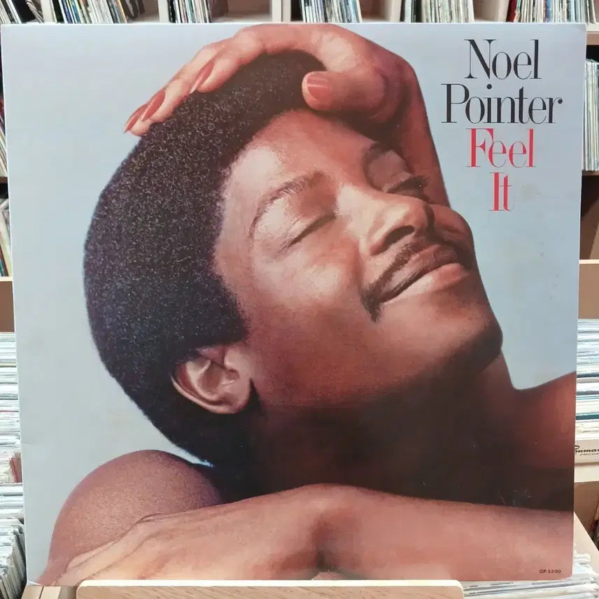 [BUNJANG] Noel Pointer Feel It LP Fusion Jazz / 퓨전 재즈 민트  노엘 포인터 Feel It LP 할인