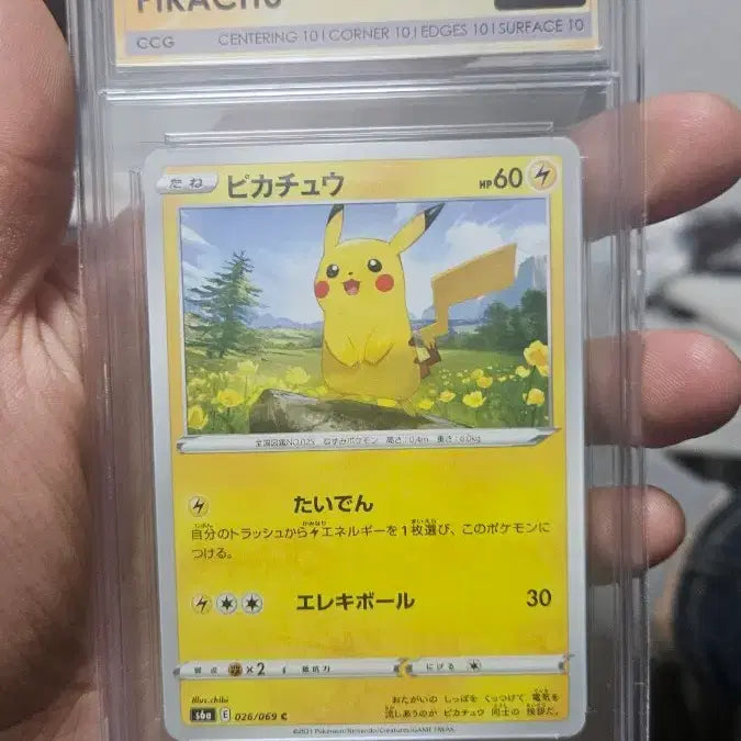 [BUNJANG] Pikachu CCG Preteen 10 / 피카츄 ccg 프레스틴 10