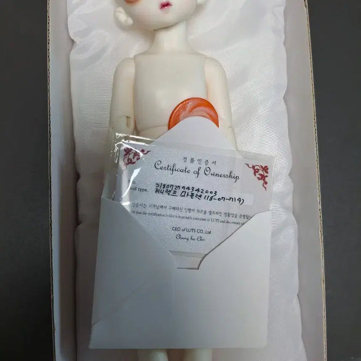 [BUNJANG] Rootsdoll Honey Delf Madeleine Ball Jointed Doll / 루츠돌 허니델프 마들렌 구체관절인형 급처