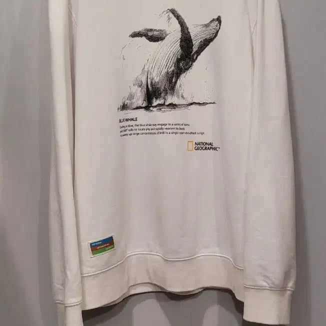 [BUNJANG] National Geographic Whale Print Sweatshirt White / 내셔널지오그래픽 흰색 고래 맨투맨티