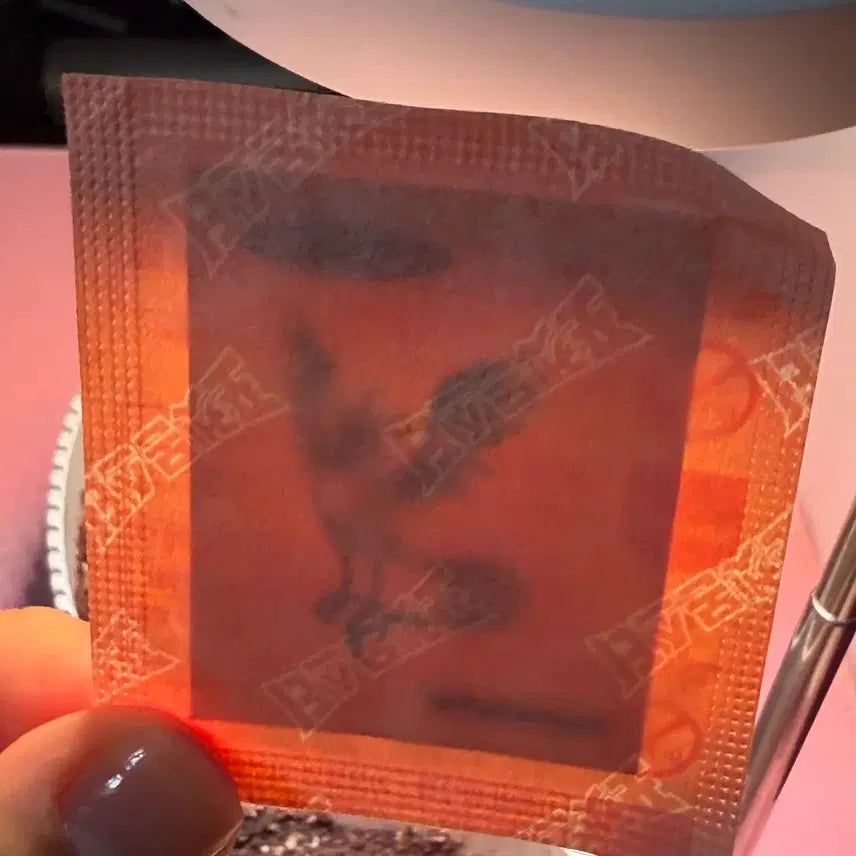 [BUNJANG] Pokemon 30th Anniversary Original Ddakji Sticker Freezer (Articuno) Sealed / 포켓몬 30주년 오리지널 띠부씰 프리져 미개봉