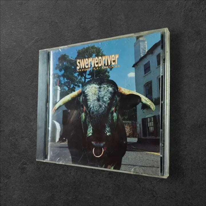 [BUNJANG] Swervedriver Mezcal Head 1993 USA First Press Vinyl / (레어) Swervedriver - Mezcal Head 스워브드라이버