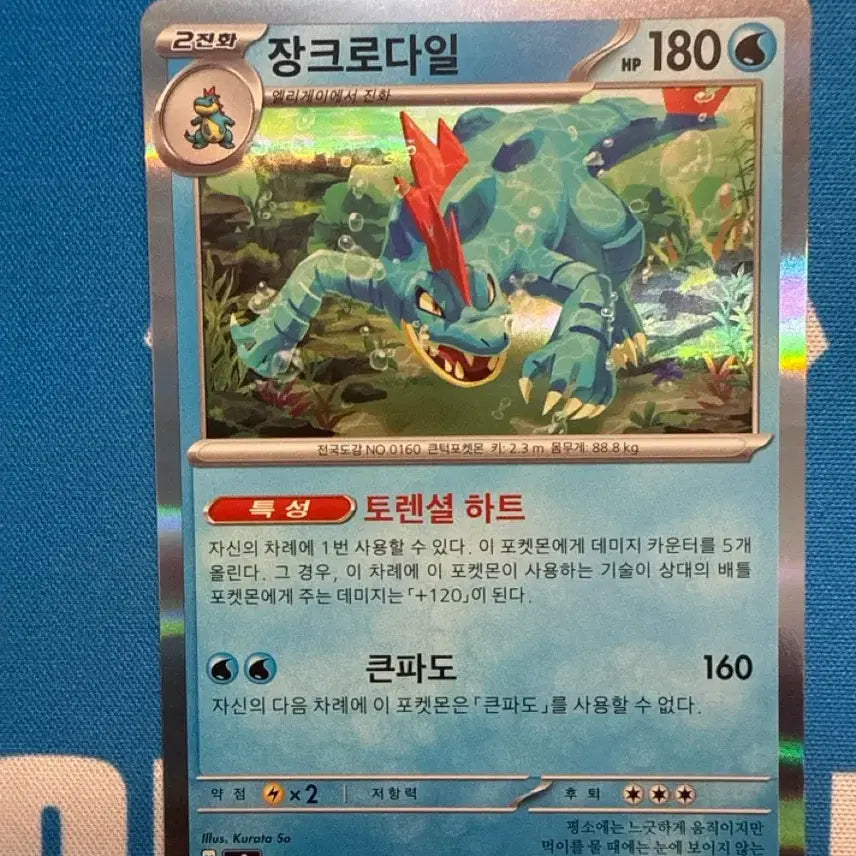 [BUNJANG] Pokemon Feraligatr Card / 포켓몬 카드 장크로다일