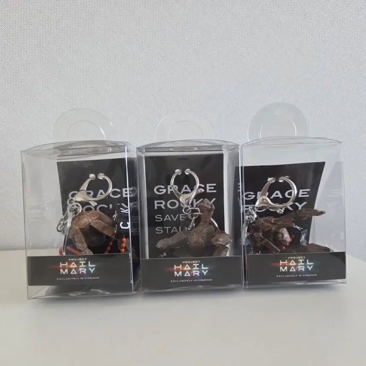 [BUNJANG] Project Hail Mary Keychain / 프로젝트 헤일메리 키링