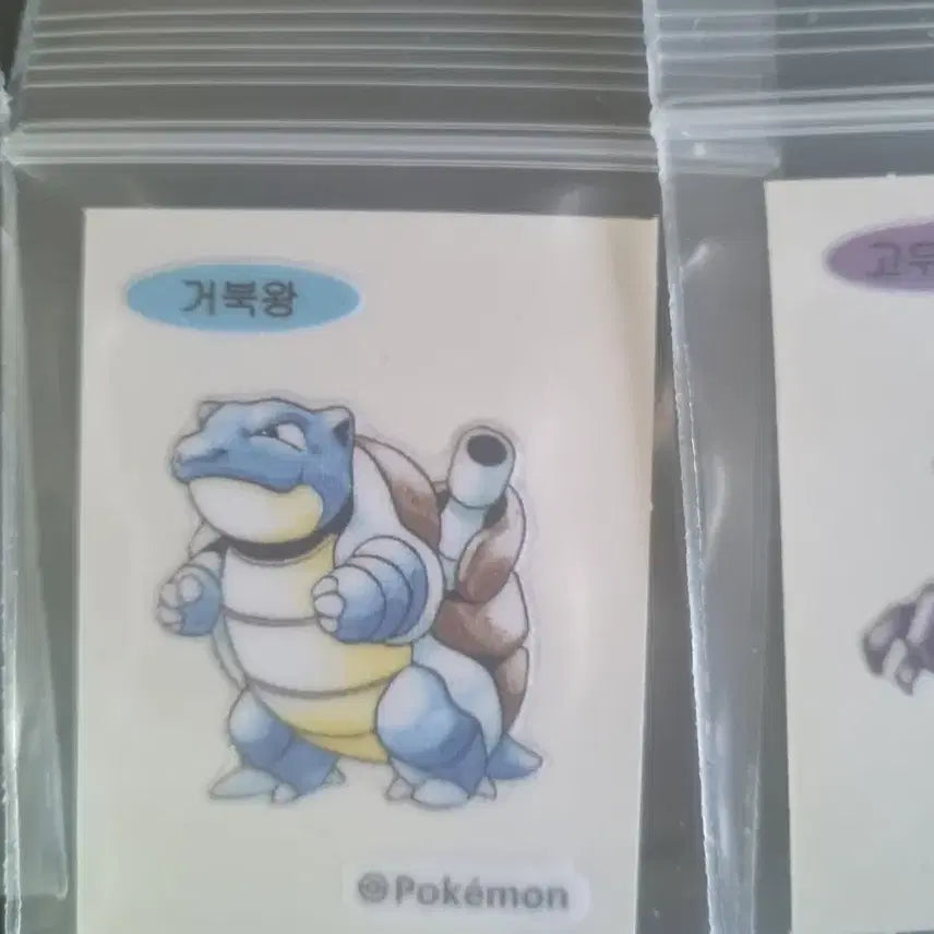 [BUNJANG] 30th Anniversary Pokemon Bread Tortoise Pokemon Sticker / 30주년 뉴 포켓몬 빵 띠부띠부씰 거북왕