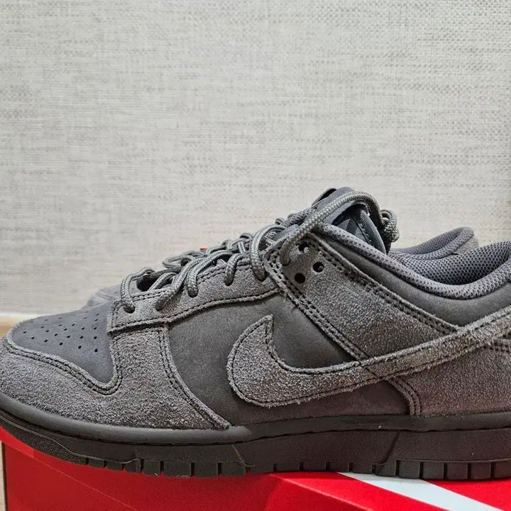 [BUNJANG] Nike Dunk Low Retro SE Men&