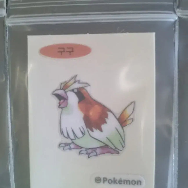 [BUNJANG] 30th Anniversary New Pokemon Pidgey Sticker / 30주년 뉴포켓몬 구구 띠부씰