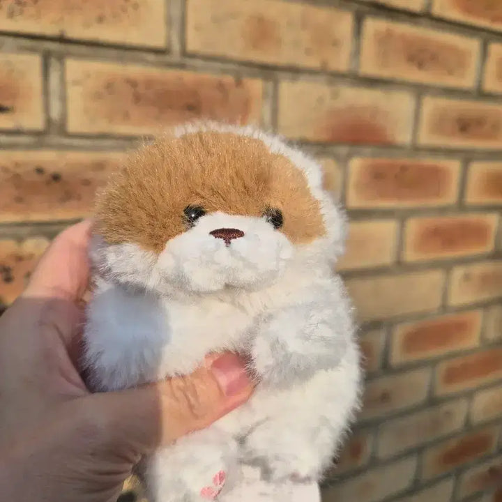 [BUNJANG] Uso Uso Chan Plush Keyring / 코네코짱인줄 우소우소짱 인형키링