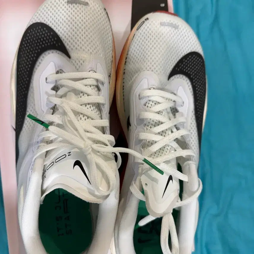 [BUNJANG] Nike Zoom Fly 6 Eliud Kipchoge Edition Running Shoes / 나이키 줌 플라이 6