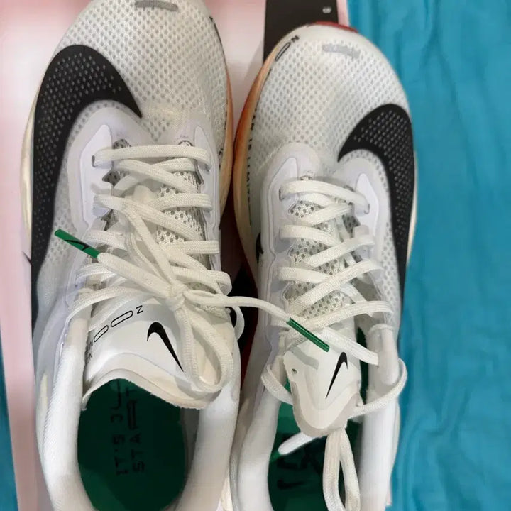 [BUNJANG] Nike Zoom Fly 6 Eliud Kipchoge Edition Running Shoes / 나이키 줌 플라이 6