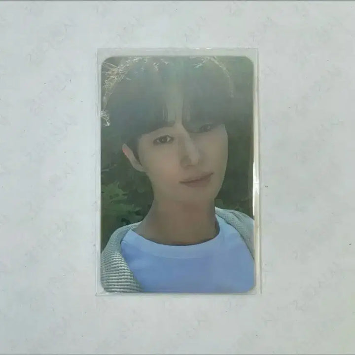 [BUNJANG] Byeon Woo Seok Byeon Woo Seok Celadon Shark Photocard / 변우석 청상아리 포카