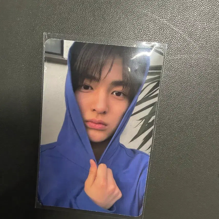 [BUNJANG] Kortiz Gunho Photocard Street / 코르티스 안건호 포카 wvs스트릿
