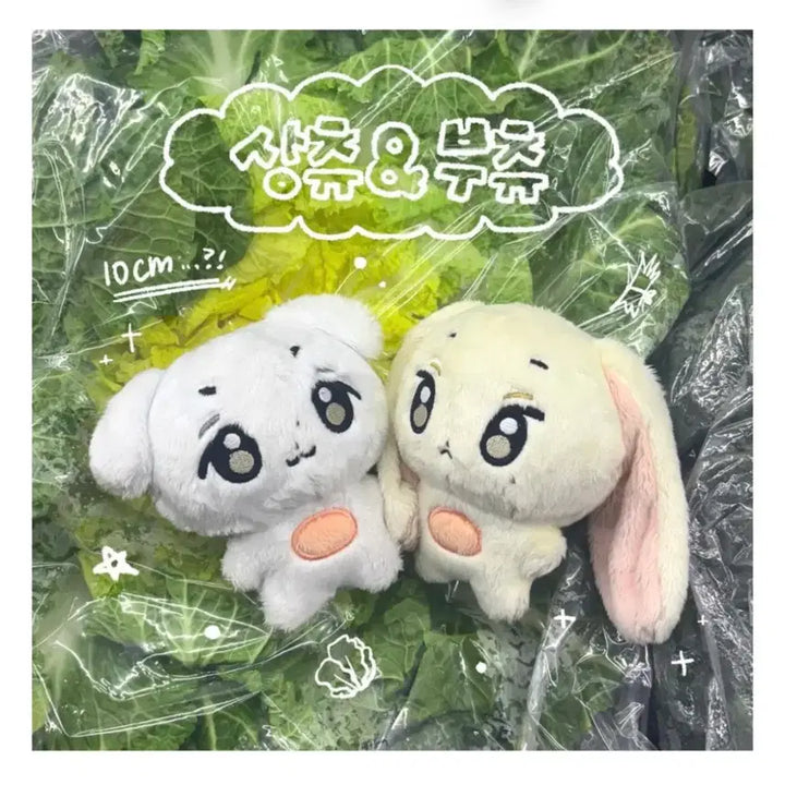 [BUNJANG] Chuchune Veggie Shop Jeong Hyeon Doll Sangchu / 츄츄네 야채가게 정상현 인형 상츄