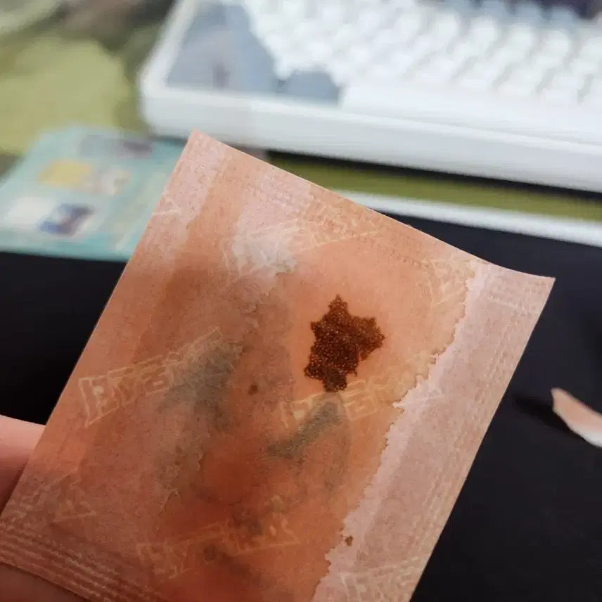 [BUNJANG] Pokemon 30th Anniversary Charizard Sticker / 30주년 포켓몬스터 리자몽 띠부실