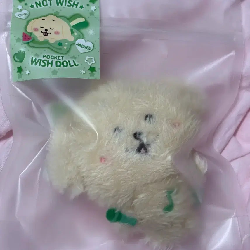 [BUNJANG] NCT WISH Wishdoll Pocketdoll Dangtriver / 엔시티 위시 위시돌 포켓돌 댕트리버