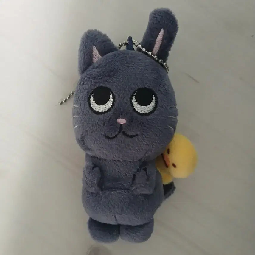 [SOLD OUT] 토냥덕 1기