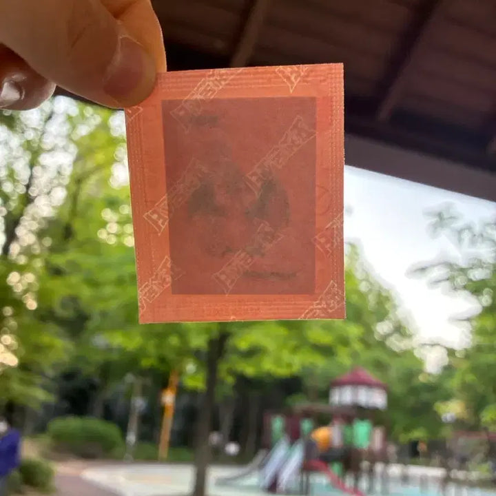 [BUNJANG] First Edition Charizard Venusaur Sticker Sealed / 초판 이상해꽃 띠부씰 미개봉 팝니당