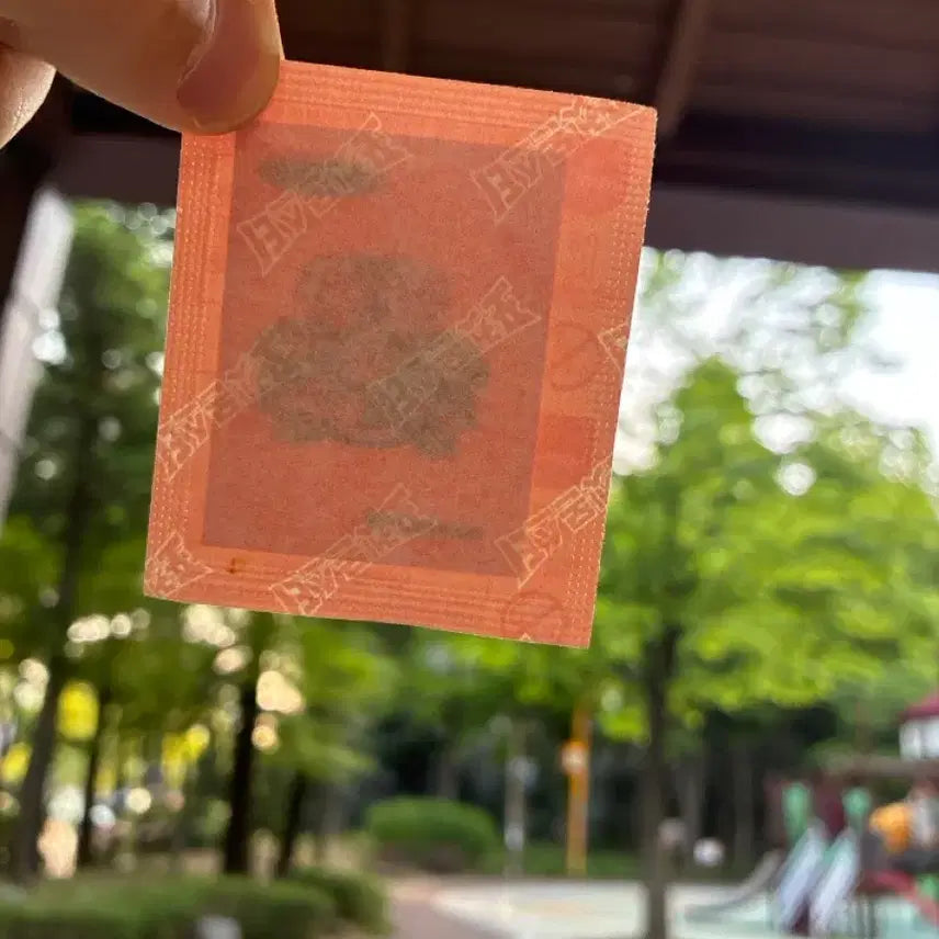 [BUNJANG] First Edition Charizard Venusaur Sticker Sealed / 초판 이상해꽃 띠부씰 미개봉 팝니당