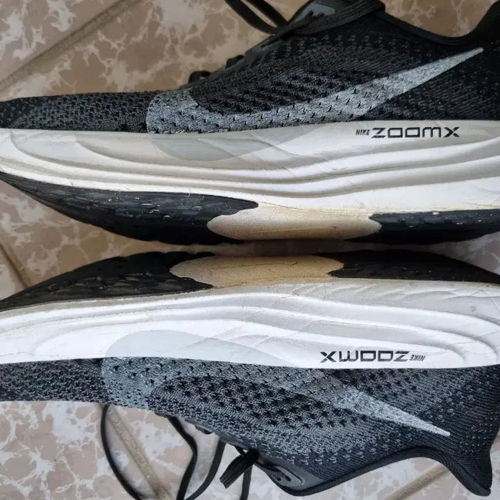 [BUNJANG] Nike Pegasus Plus Women&