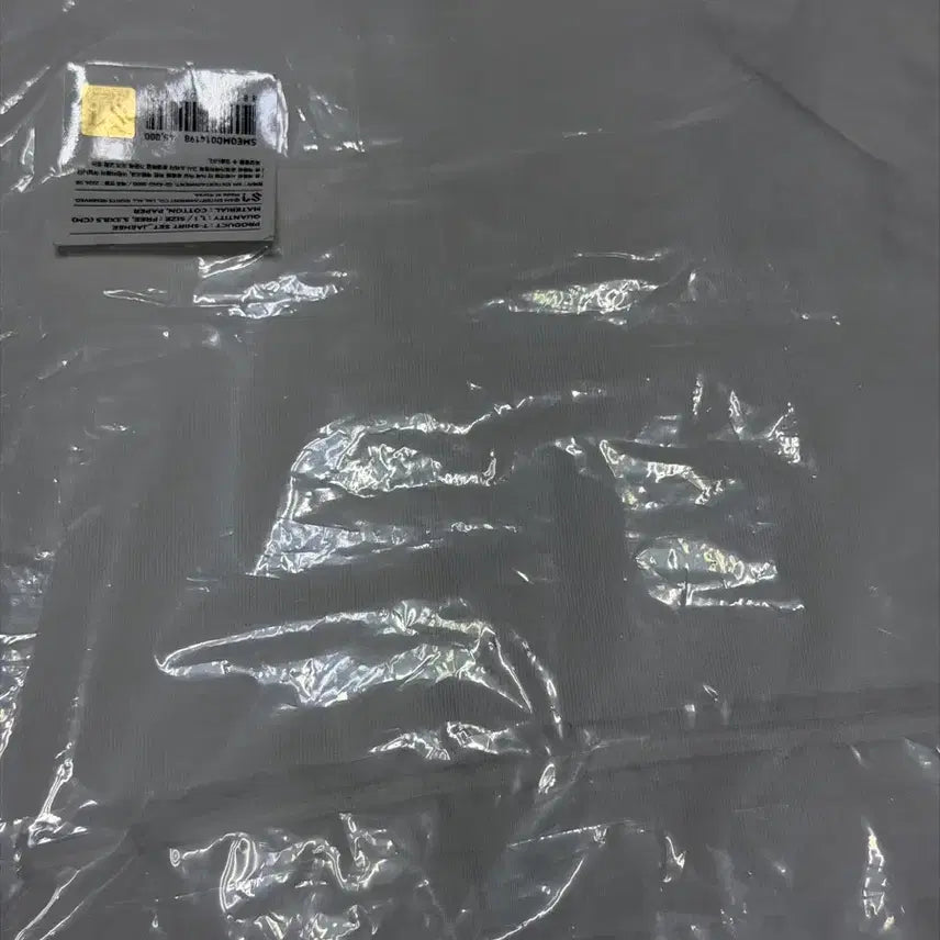 [BUNJANG] NCT WISH Steady T-Shirt (Sealed) / [미개봉] 위시 스테디 티셔츠